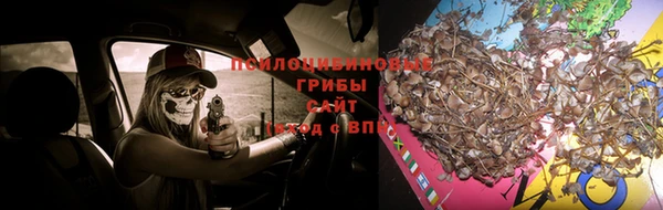 Альфа ПВП Медвежьегорск