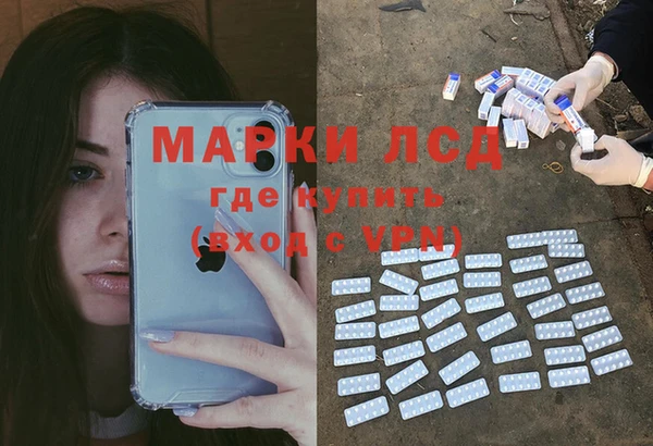 стаф Медногорск