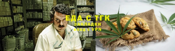 стаф Медногорск
