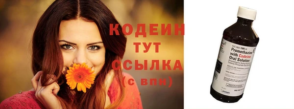 стаф Медногорск