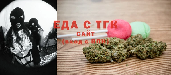 стаф Медногорск